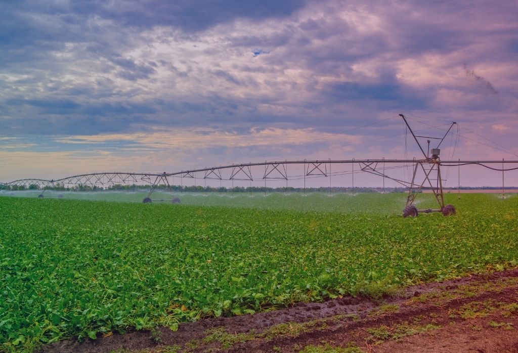 Harvest Prep Starts with Hydraulic Reliability Featured Image